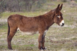 JQ010708-cr2-sharpened