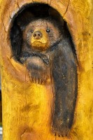 JQ023939-cr2-sharpened