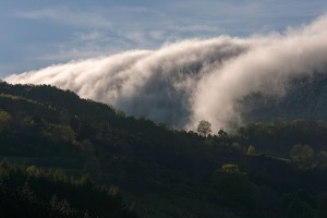 Autumn landscape from Irati forest, Nacarra, Spain