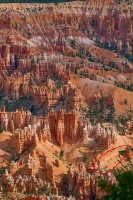 XT2N_00611-raf-sharpened