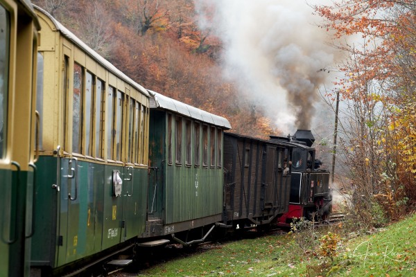 Mocanita Viseu de Sus: A Magical Train Ride Mocanita Viseu de Sus: A Magical Train Ride