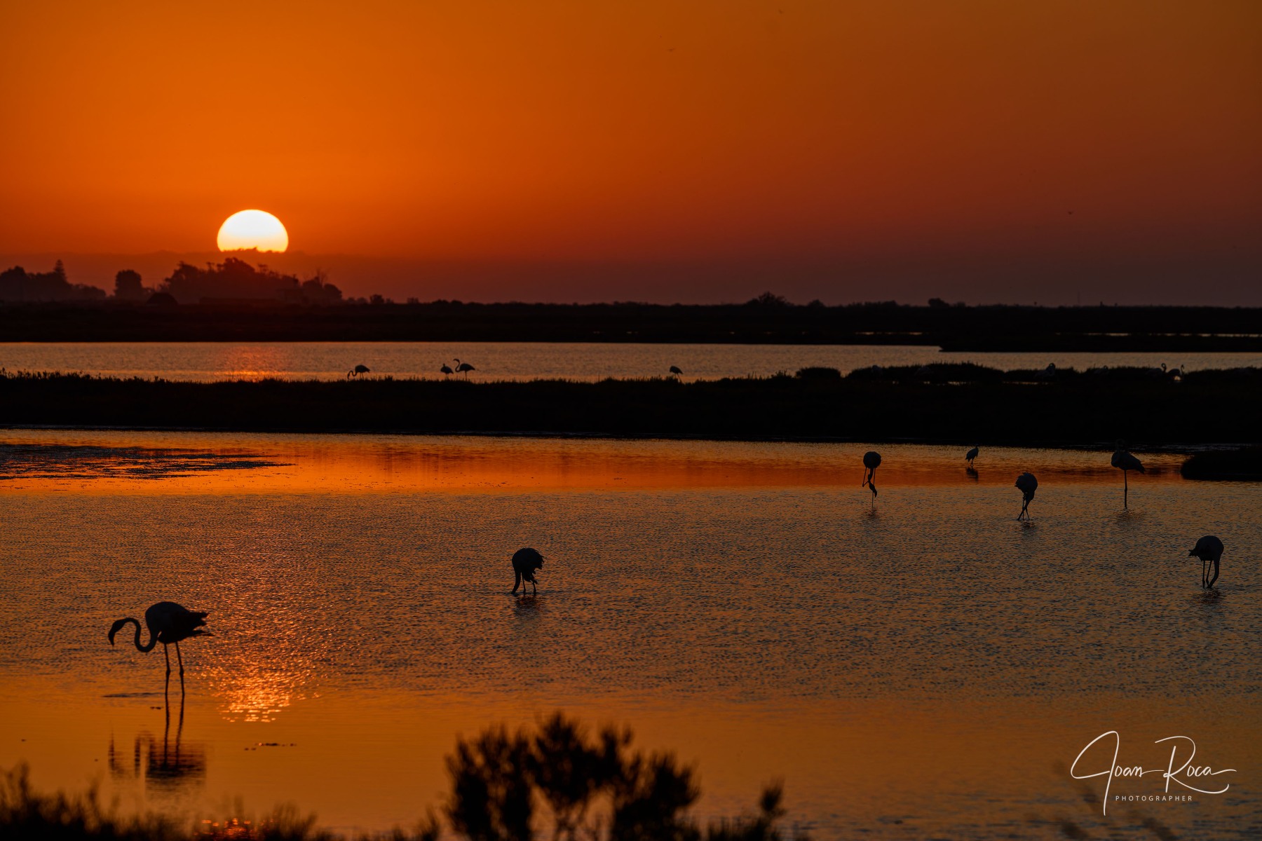 Delta del Ebro